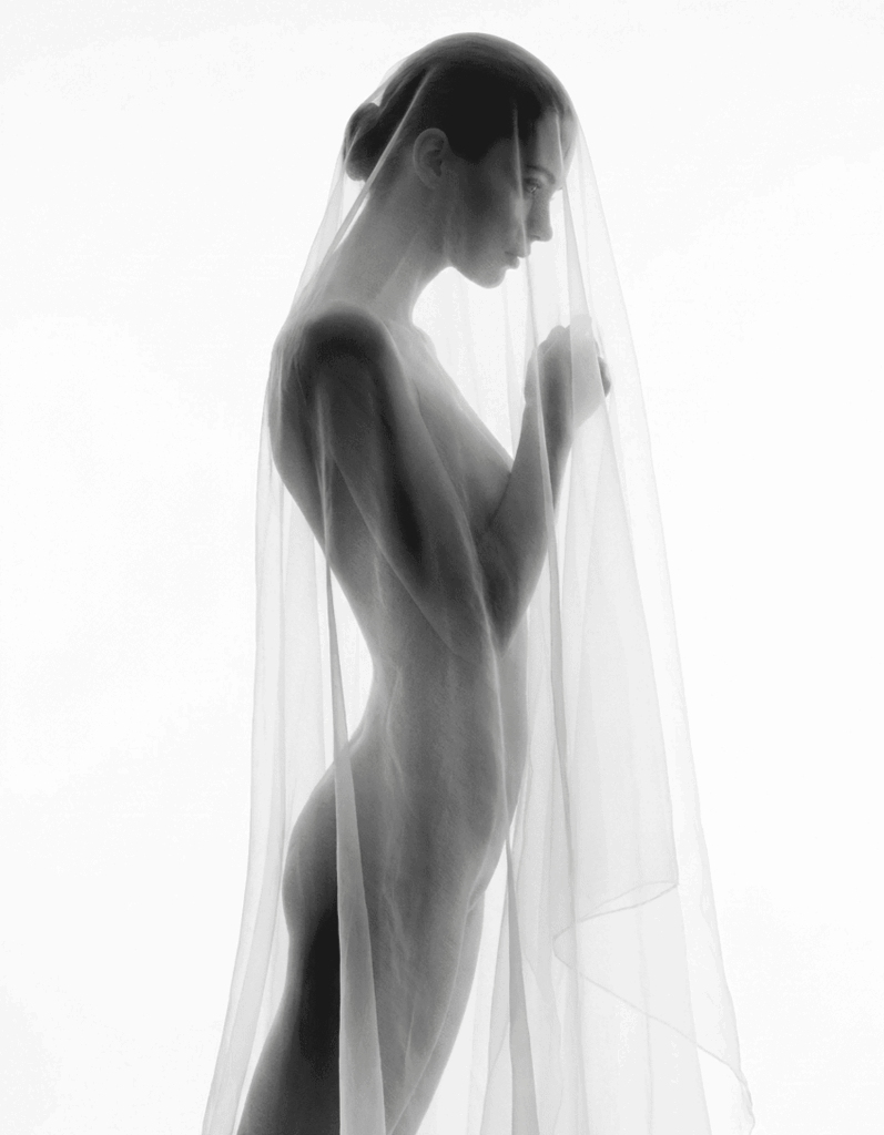 Torso definido femenino a contraluz